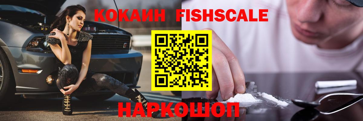 Cocaine Fish Scale  Cocaine Fish Scale  Вход с VPN  Костомукша 