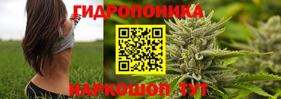 ГАЛЛЮЦИНОГЕННЫЕ ГРИБЫ Аша