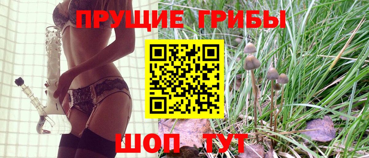 Галлюциногенные грибы Psilocybe Костомукша